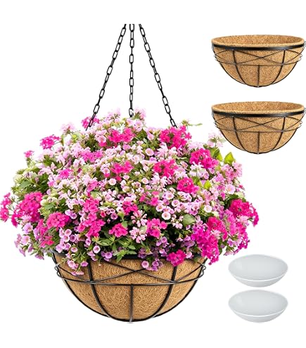 Amazon.com: Topiary Art Works 24